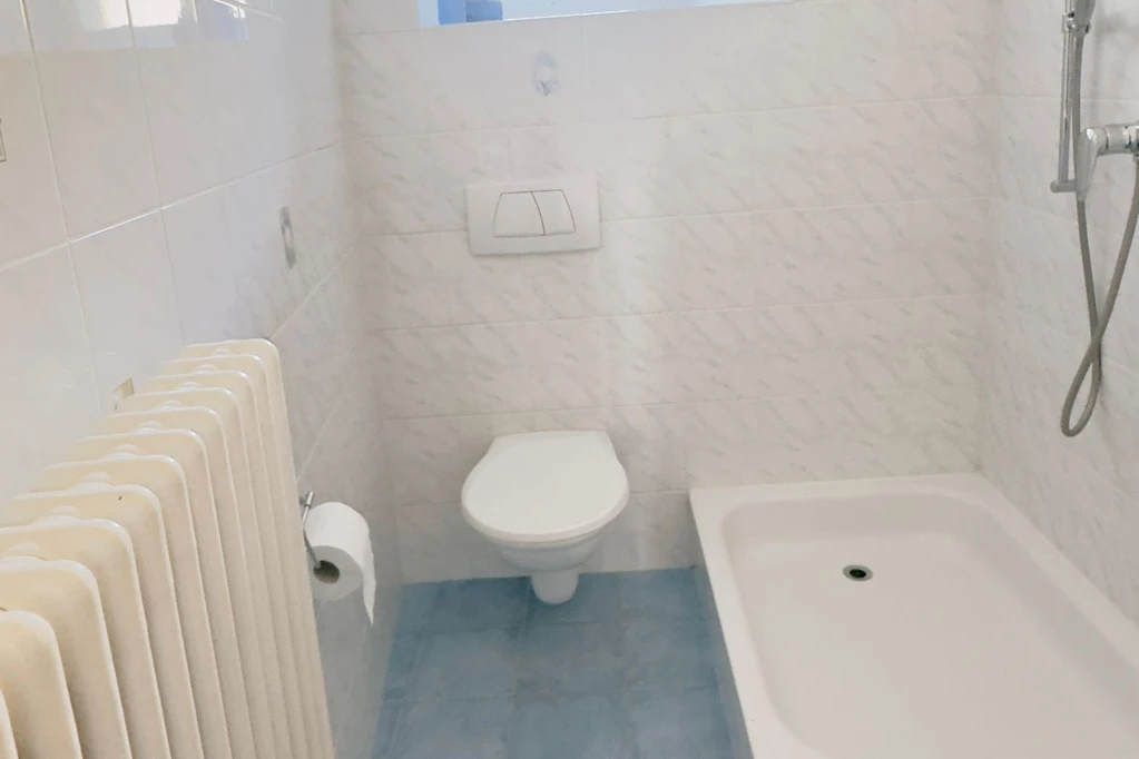 Sanitaires professionnels propres